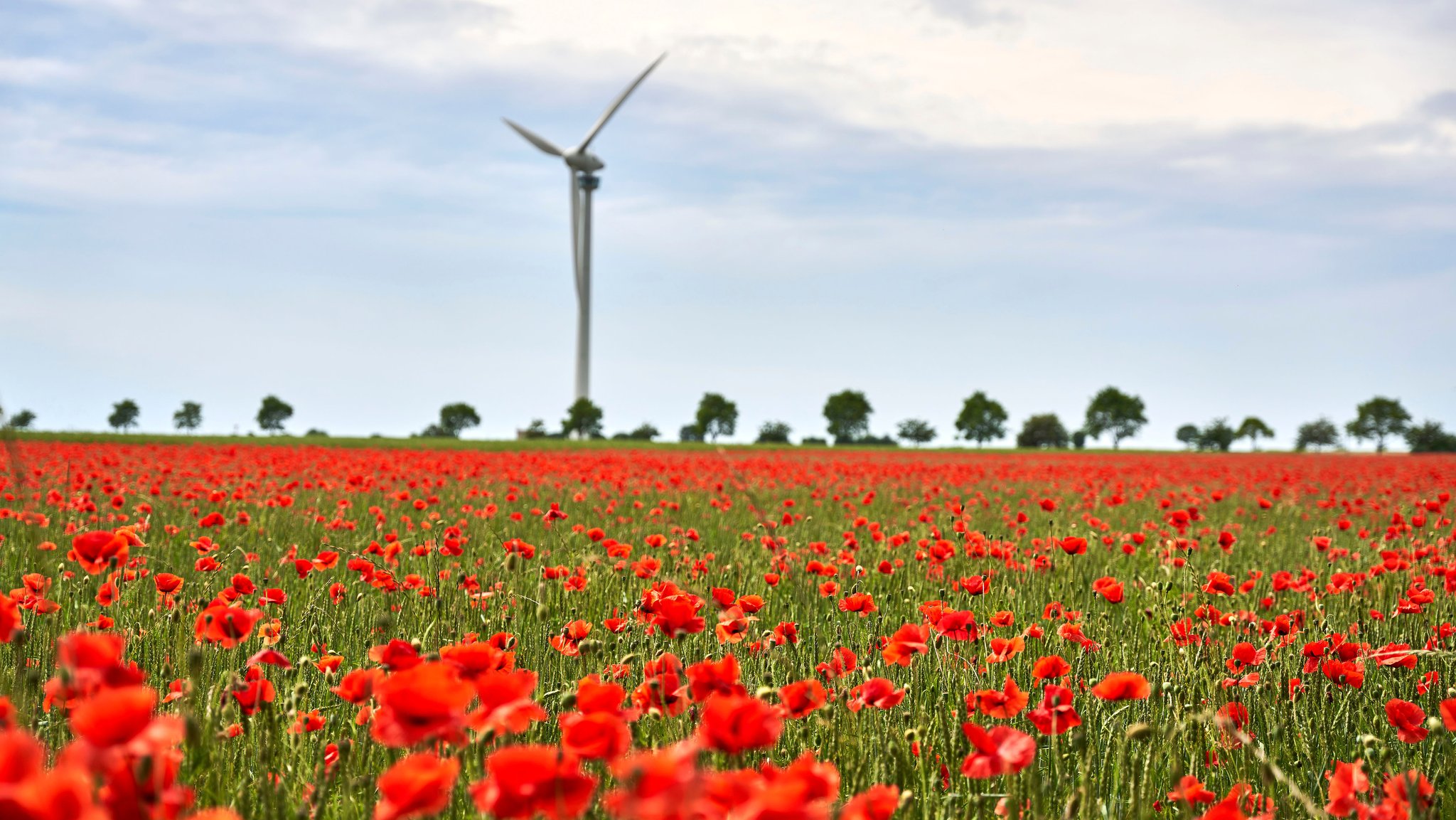 Bayerisches Kabinett will neues Klimaschutzgesetz verabschieden