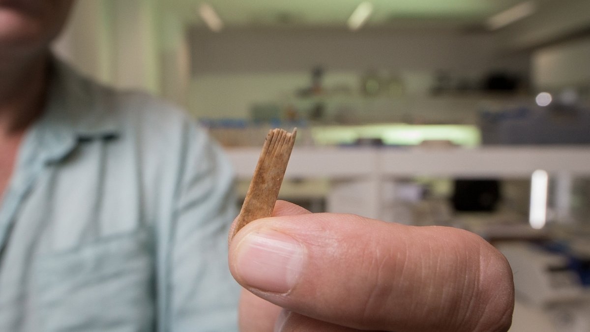 Wissenschaftler hält einen der Kämme des Tätowierungssets, das auf Tonga gefunden wurde.