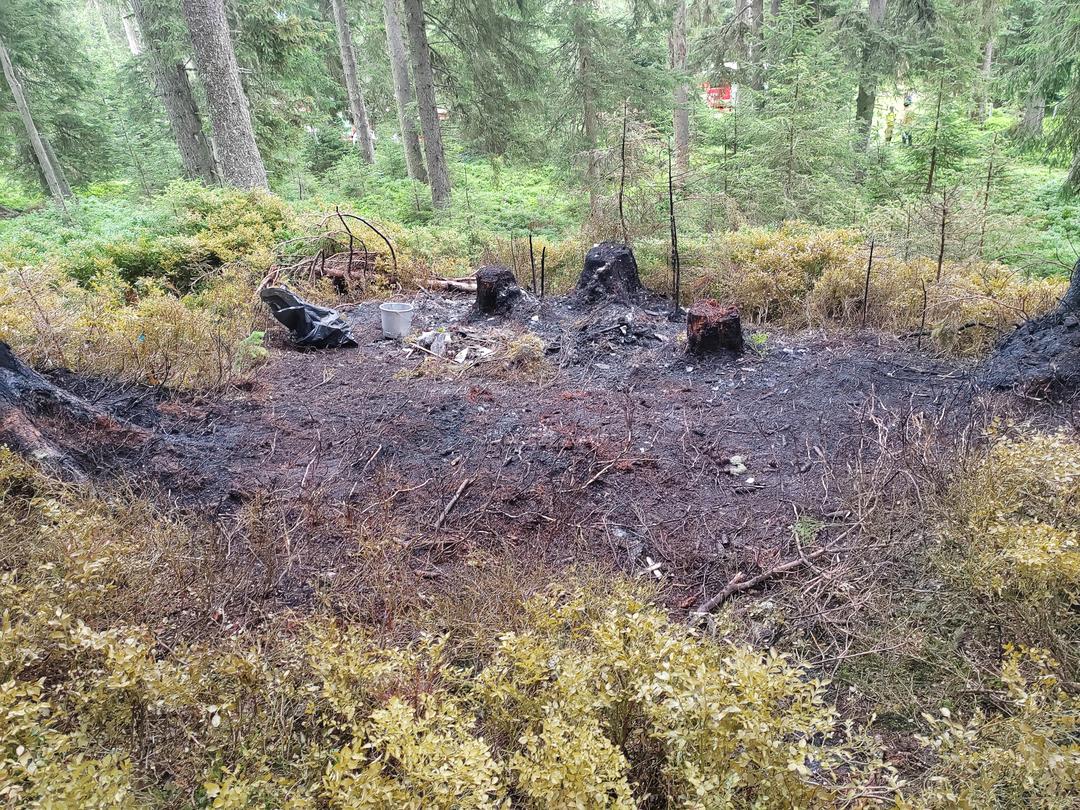 Österreich, Wald im Pinzgau: Blick auf die Absturzstelle eines Kleinflugzeugs in der Nähe von Wald im Pinzgau im Salzburger Land. 