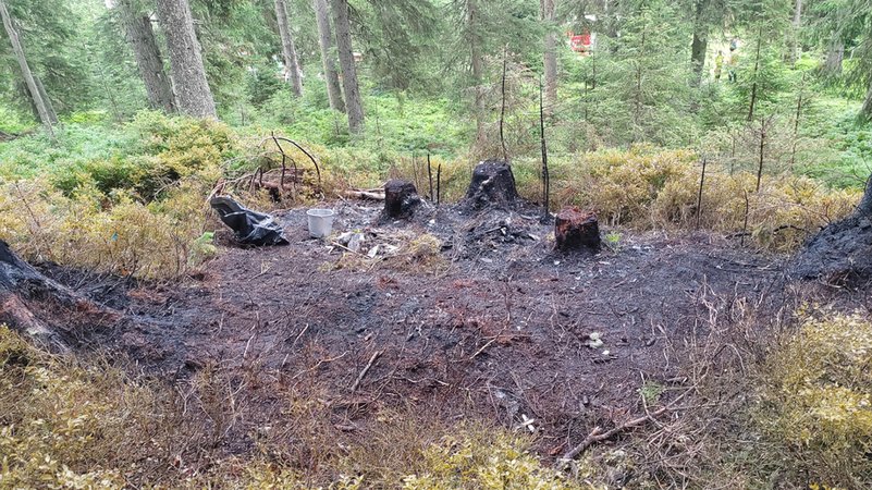 Österreich, Wald im Pinzgau: Blick auf die Absturzstelle eines Kleinflugzeugs in der Nähe von Wald im Pinzgau im Salzburger Land. | Bild: dpa-Bildfunk/Jürgen Masching Österreich, Wald im Pinzgau: Blick auf die Absturzstelle eines Kleinflugzeugs in der Nähe von Wald im Pinzgau im Salzburger Land.