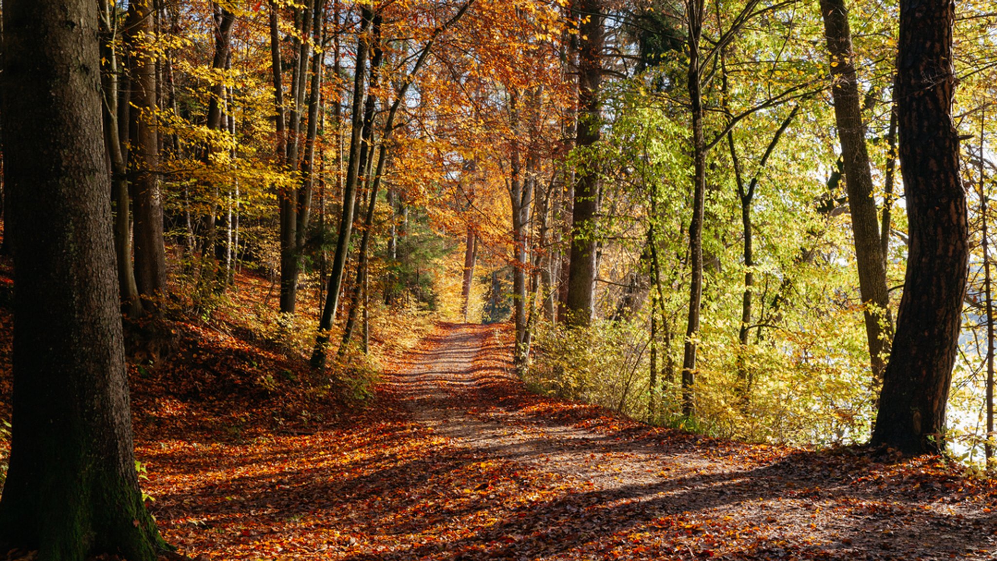 Der Deutsche Wetterdienst erwartet ein "goldenes Oktoberwetter" ab Dienstag.