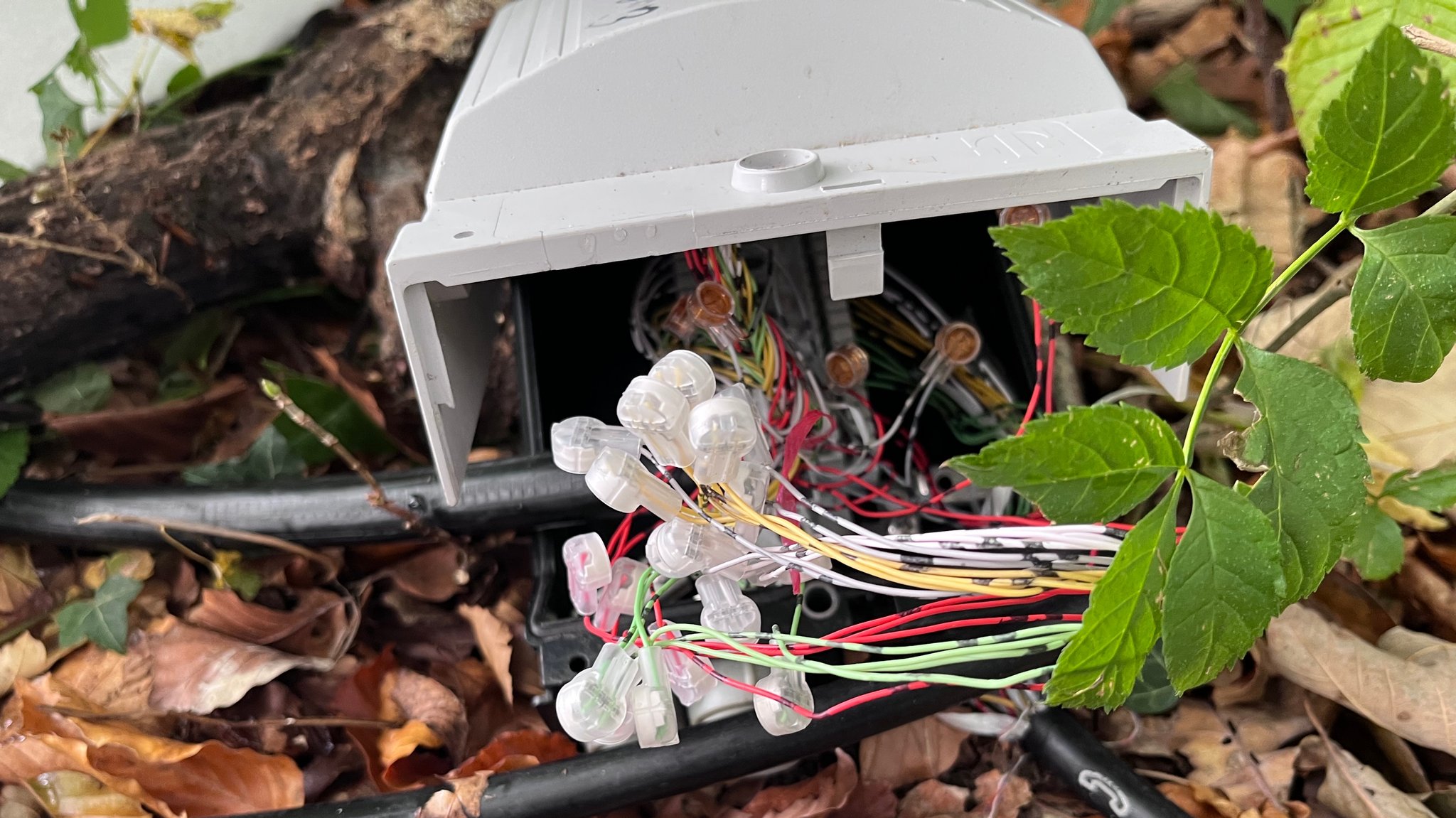 Zahlreiche Kabel in einer Kabelbox mitten im Wald.