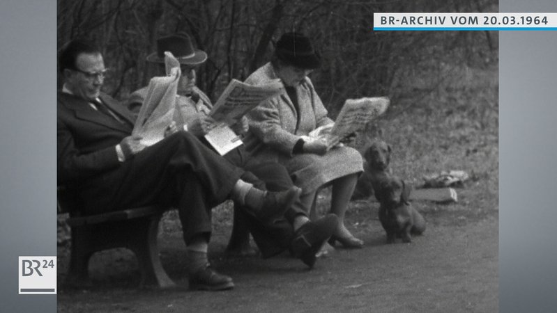 Drei Zeitungsleser auf einer Parkbank mit Dackeln.