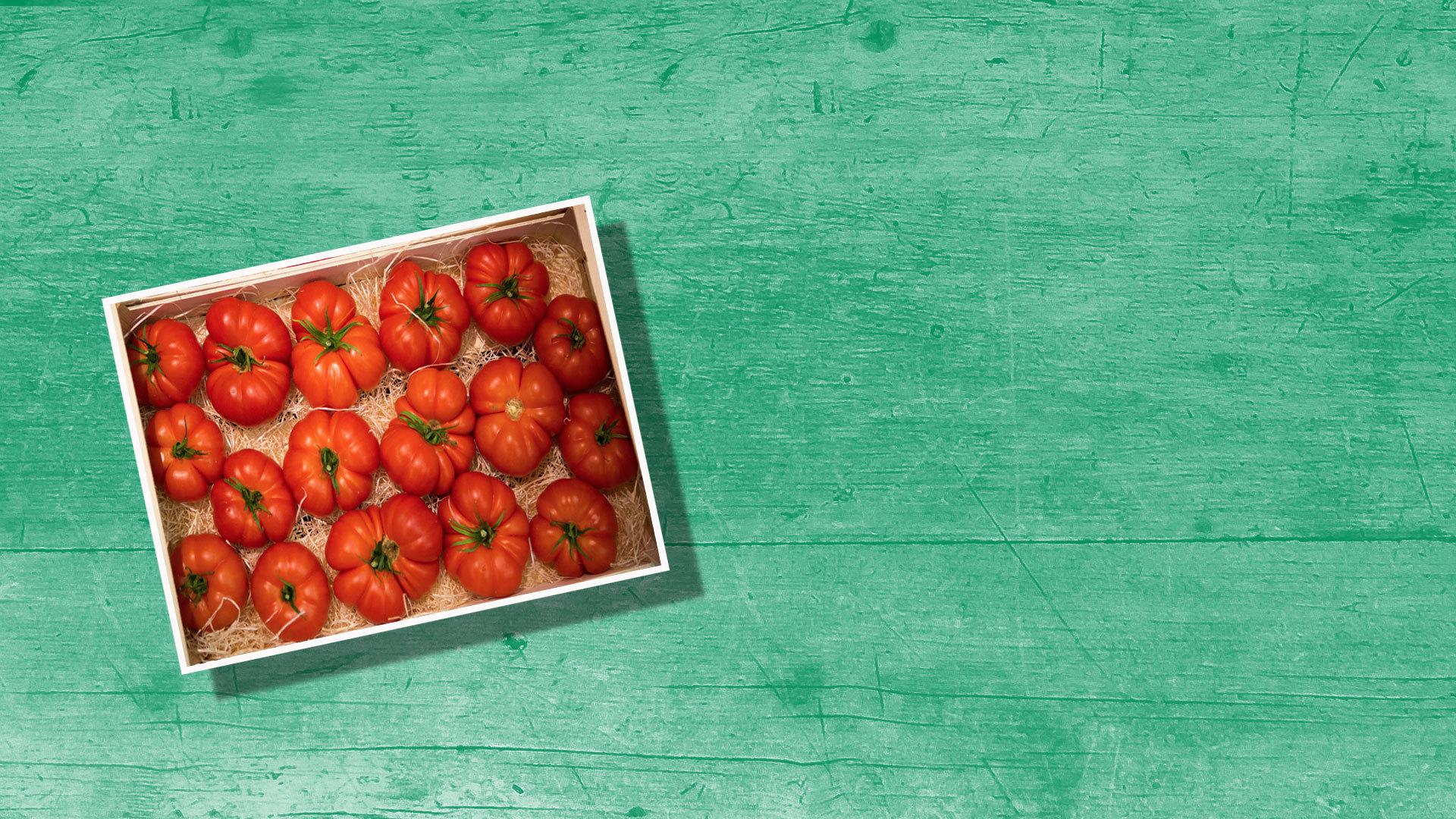 BAYERN 3 Esszyklopädie Warum Tomaten jetzt am besten sind BAYERN 3