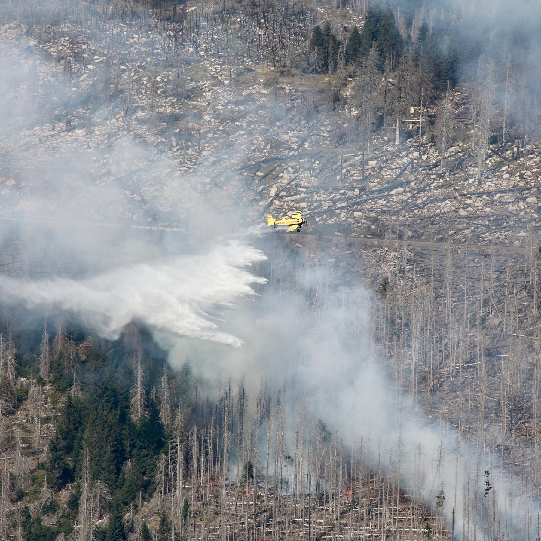 Großbrand am Brocken ist unter Kontrolle