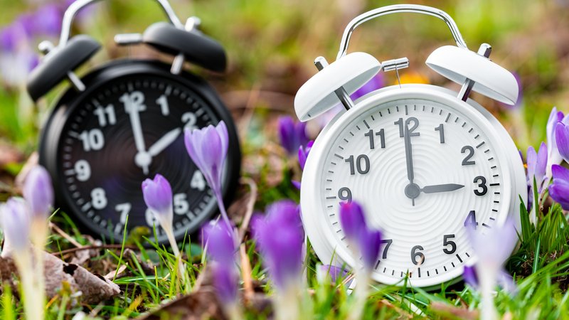 Zwei Wecker, der eine mit der Uhrzeit 2 Uhr, der andere mit 3 Uhr. Davor Krokusse. | Bild: picture alliance / CHROMORANGE | Michael Bihlmayer Zwei Wecker, der eine mit der Uhrzeit 2 Uhr, der andere mit 3 Uhr. Davor Krokusse.