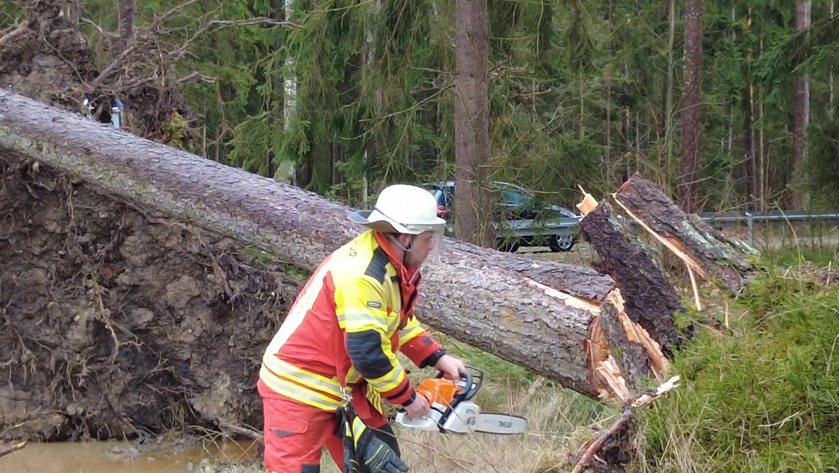 Die Feuerwehr beseitigt umgeknickte Bäume zwischen Parkstein und Schwand