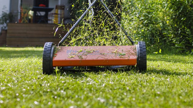 Wann sollte man im Herbst das letzte Mal Rasen mähen? BR24