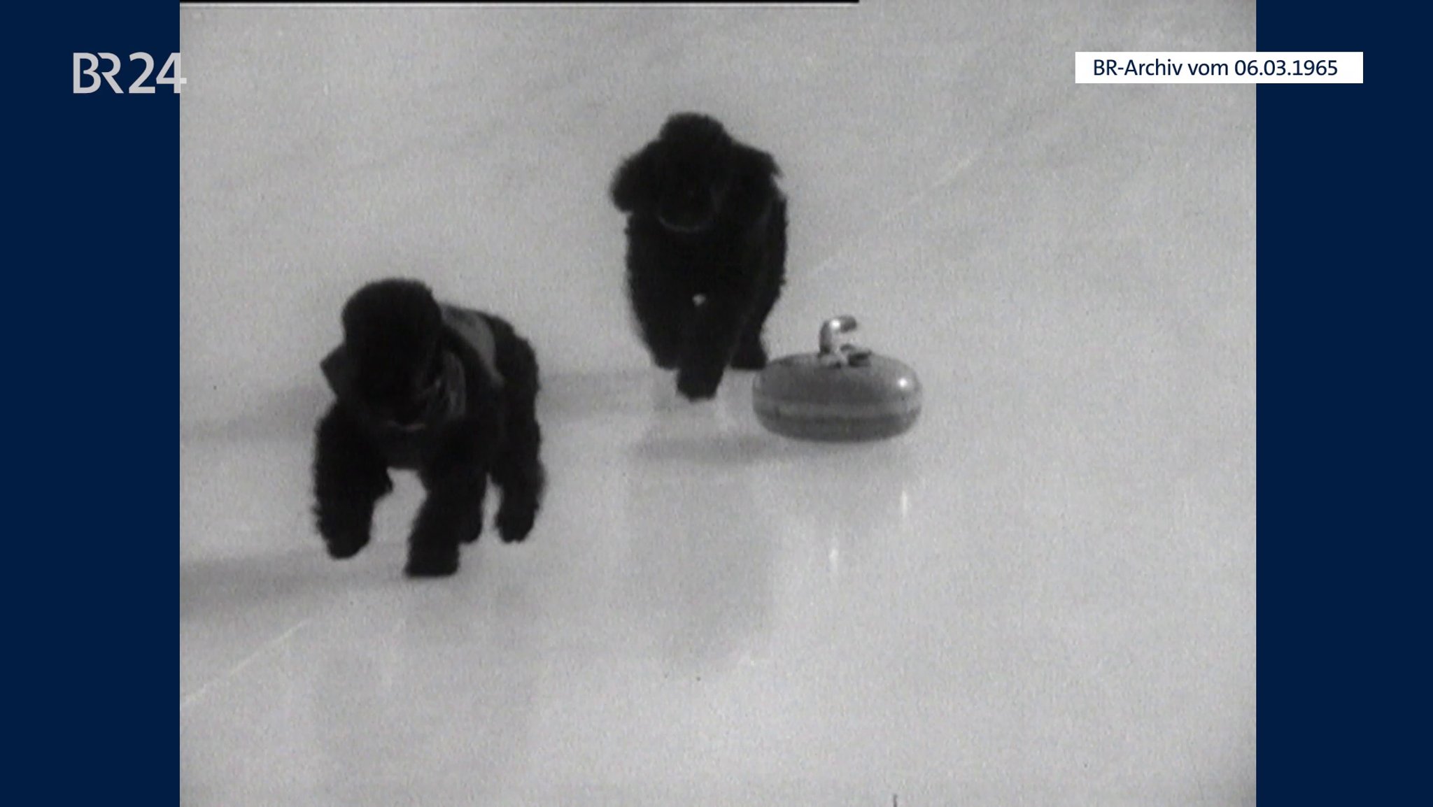 Zwei schwarze Pudel mit einer Curling-Flasche auf der Eisfläche | Bild: BR-Archiv Zwei schwarze Pudel mit einer Curling-Flasche auf der Eisfläche