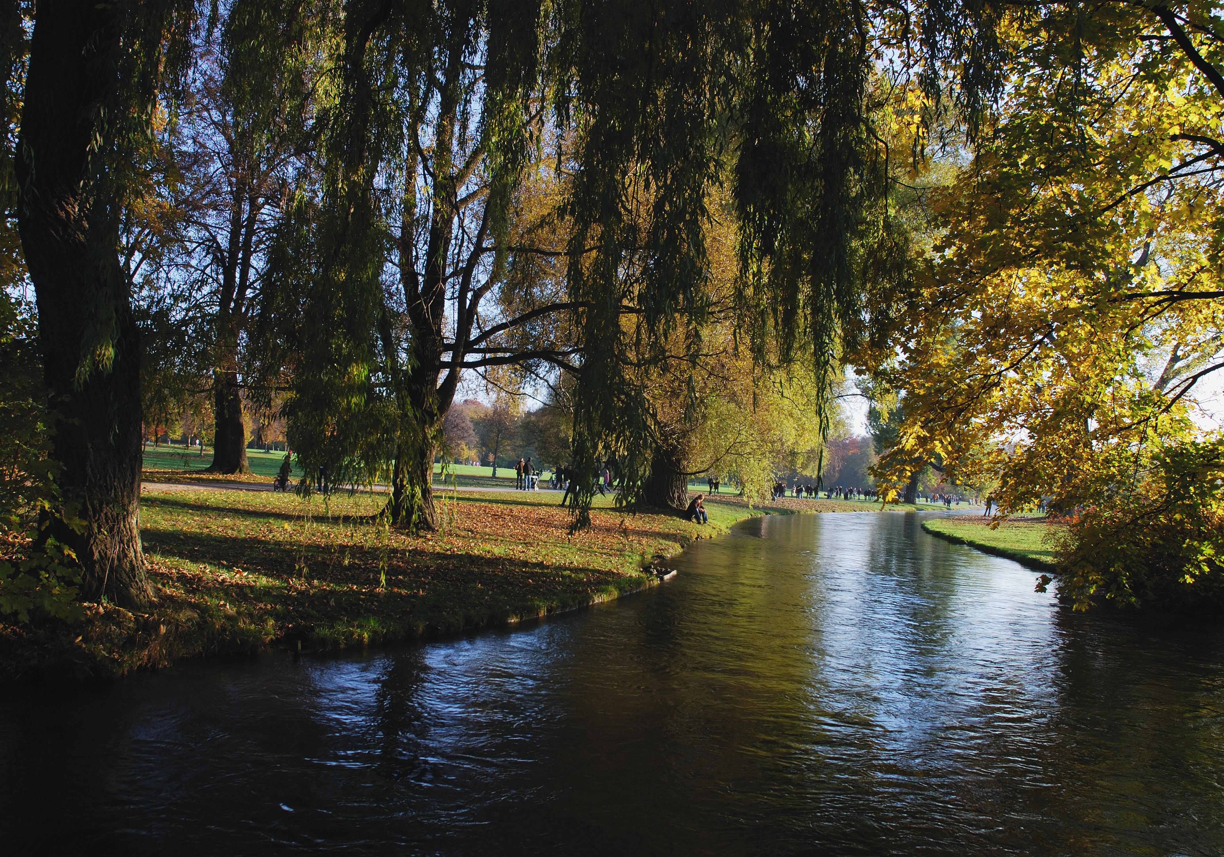 Komplizierte Bildrechte Isolde Ohlbaum Und Der Englische Garten