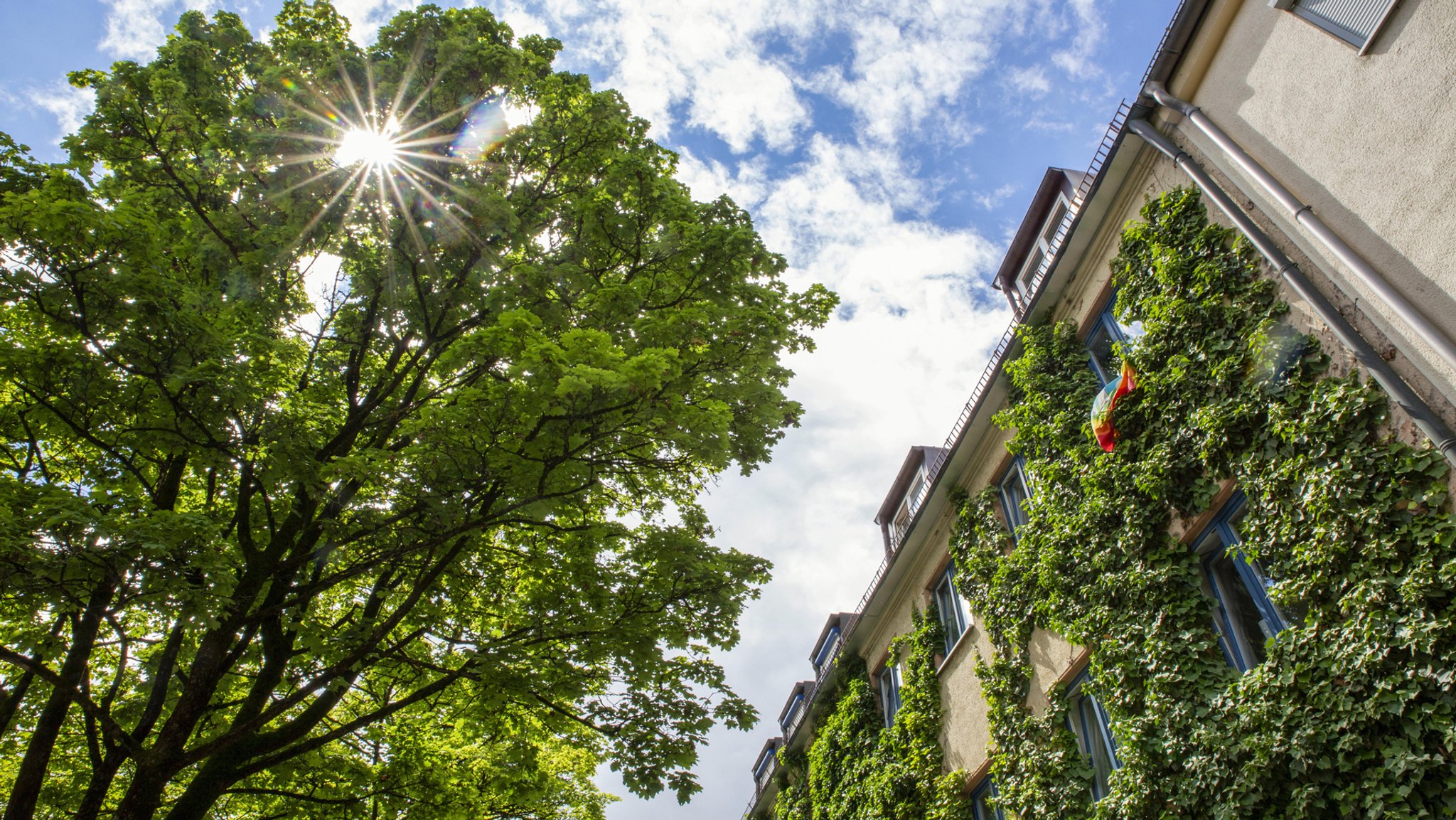 Bäume und Gebäude in München mit blauem Himmel