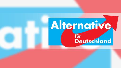 Video: Einige Punkte im neuen Wahlprogramm der AfD sind in der Partei umstritten. Trotz vieler offener Fragen, liegt die Partei derzeit stabil in der Wählergunst.