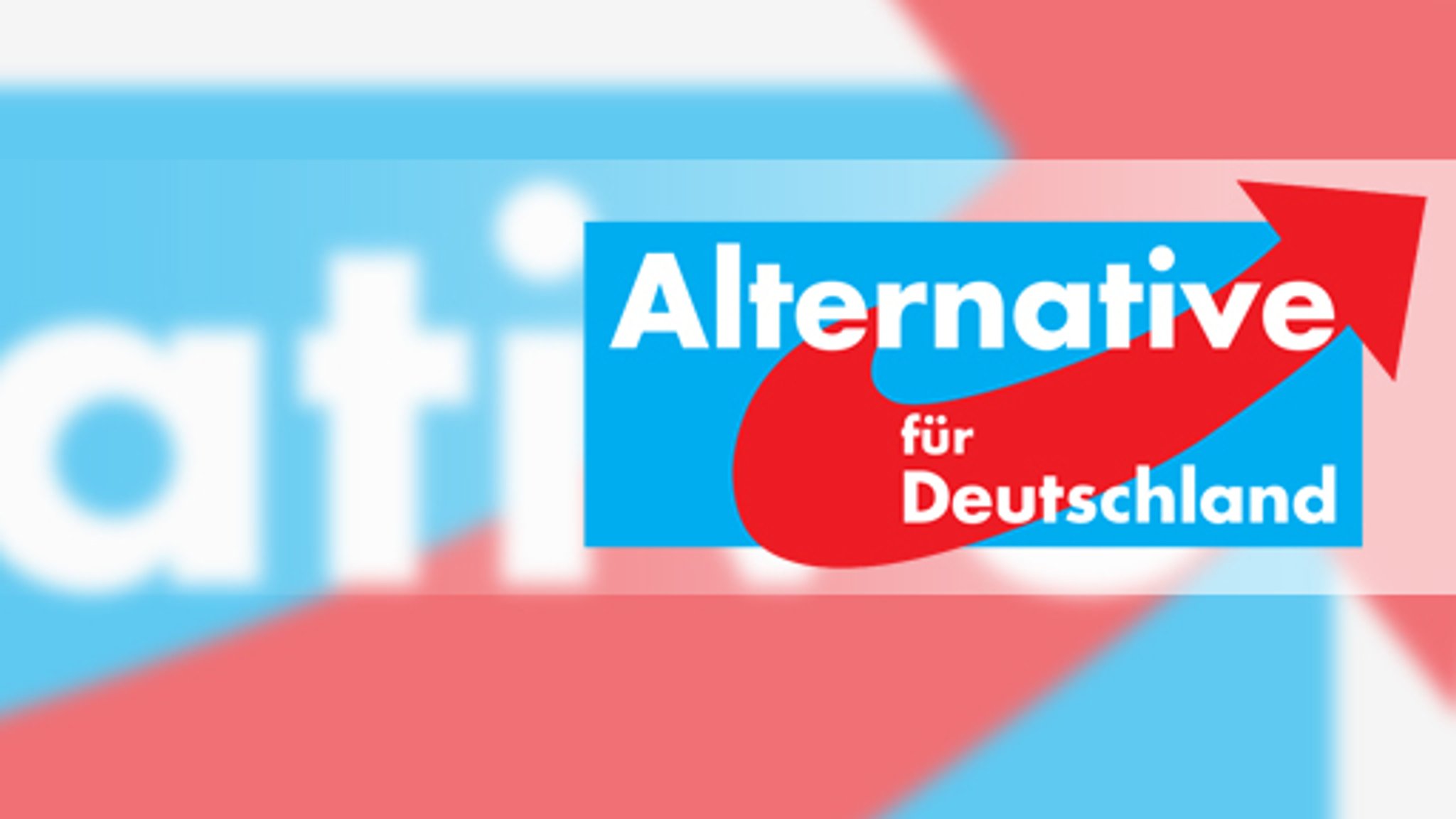 Video: Einige Punkte im neuen Wahlprogramm der AfD sind in der Partei umstritten. Trotz vieler offener Fragen, liegt die Partei derzeit stabil in der Wählergunst.