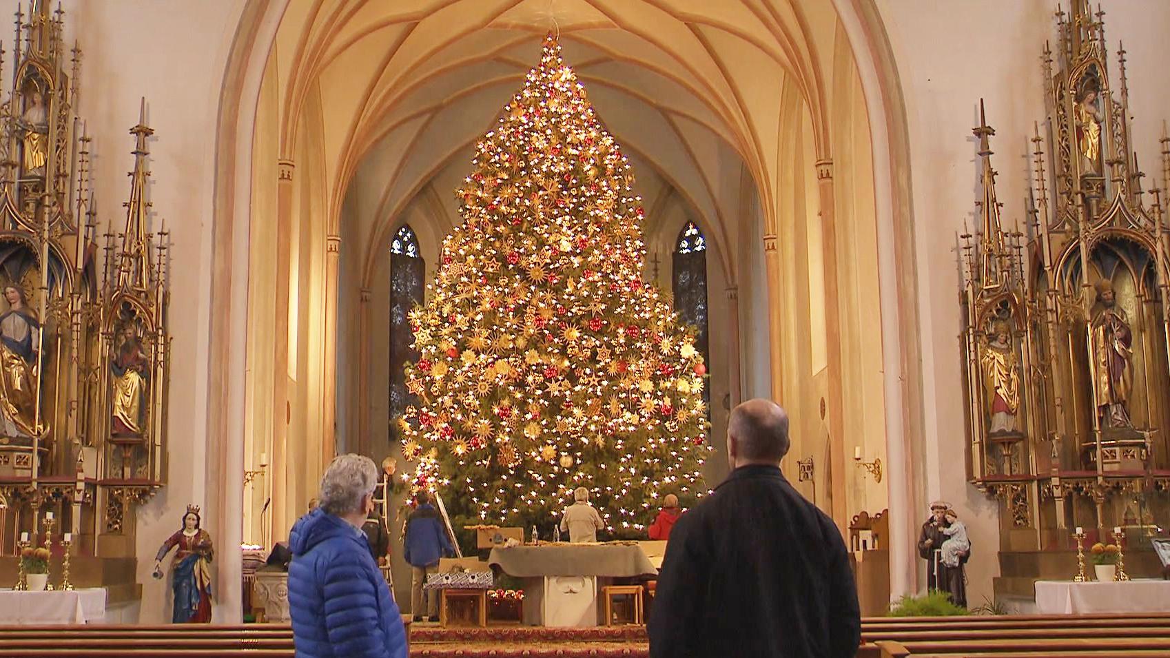 Der Christbaum Von Wallersdorf : Passt Der Riese In Die Kirche?