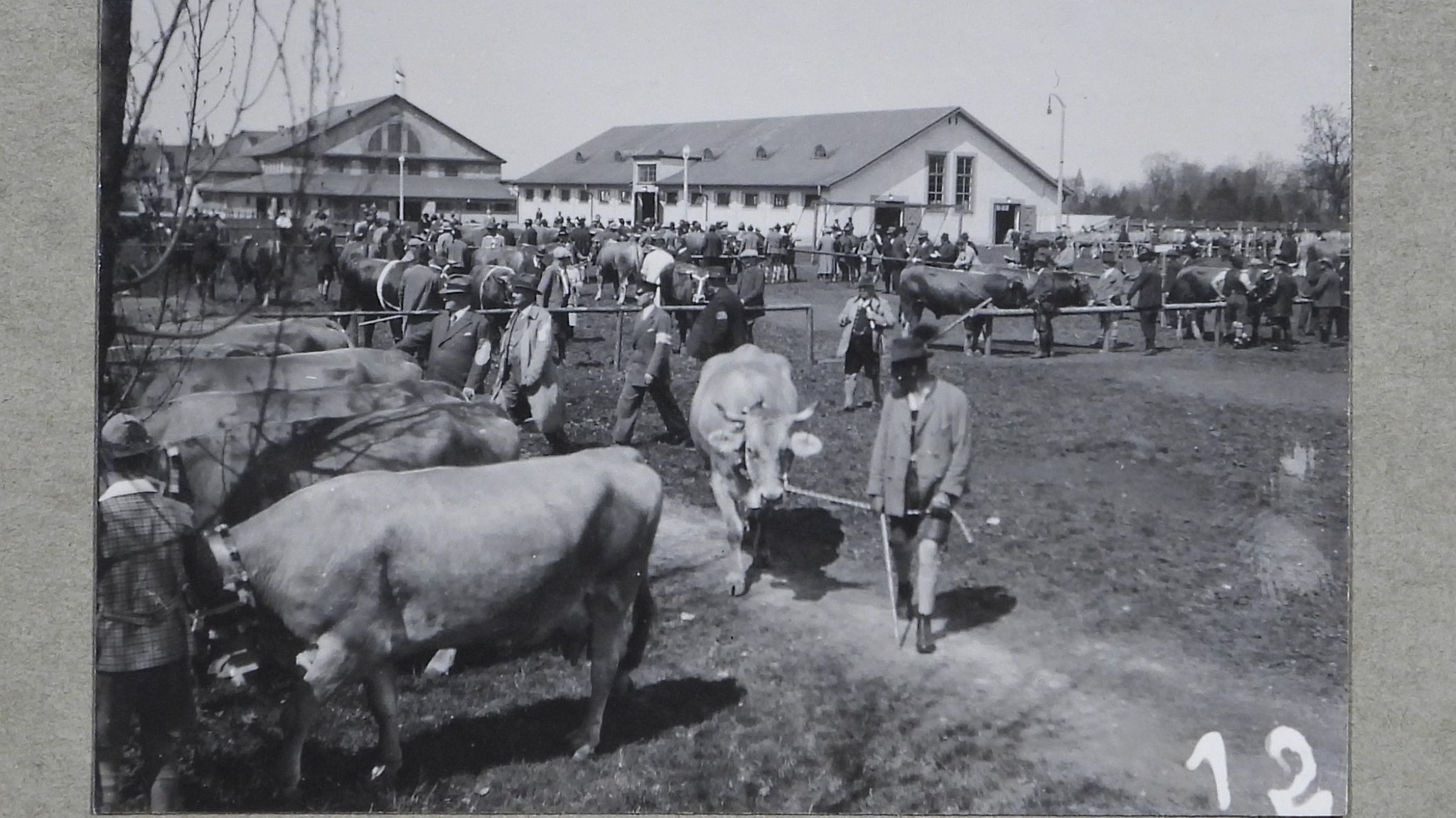 Viehschau am 3. Mai 1933 auf dem Gelände der Allgäuer Tierzuchthalle. Zu diesem Zeitpunkt nutzte auch bereits die NSDAP das Gelände für Versammlungen.