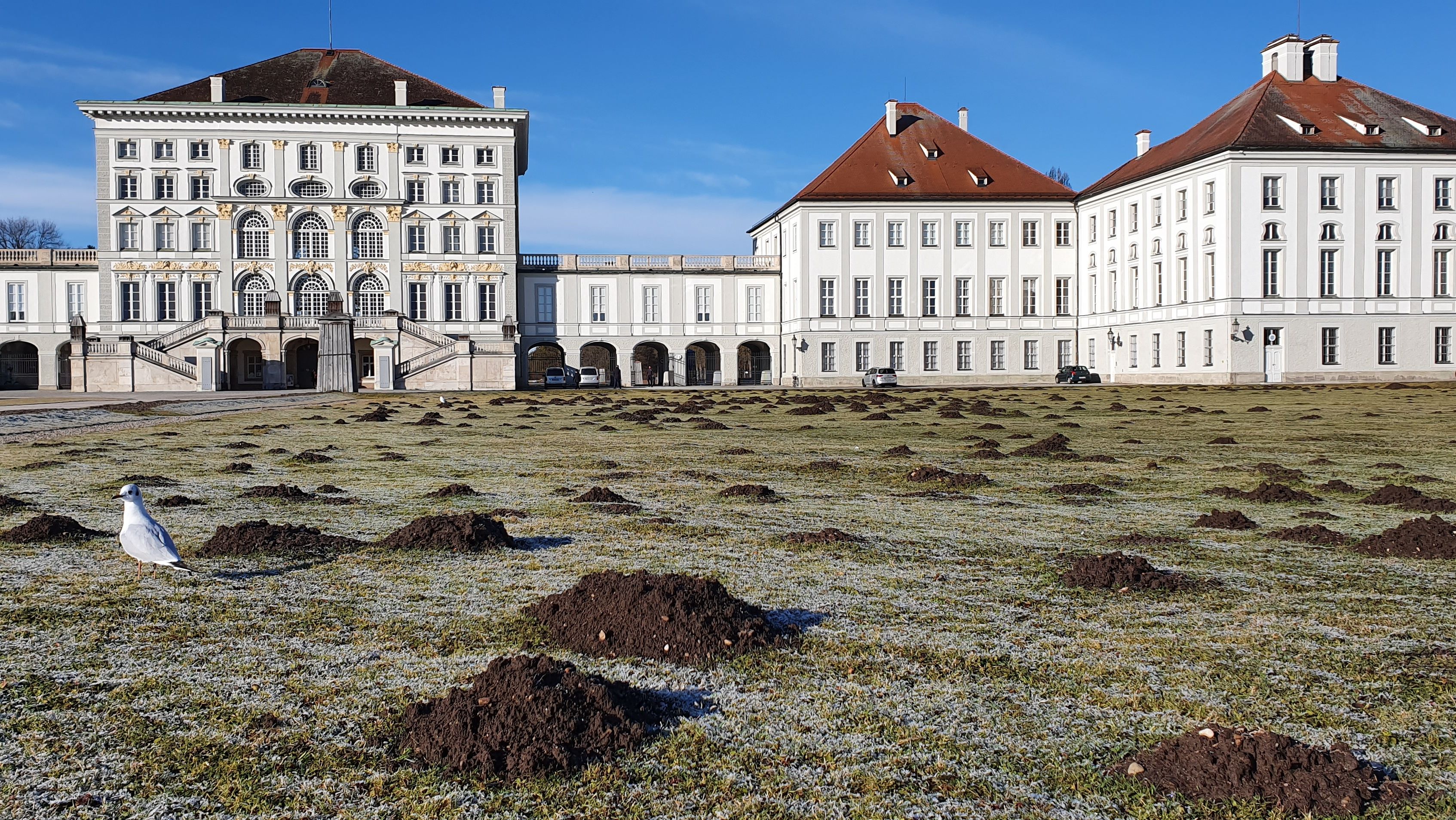 Maulwurfe Wuhlen Im Nymphenburger Schlosspark Br24