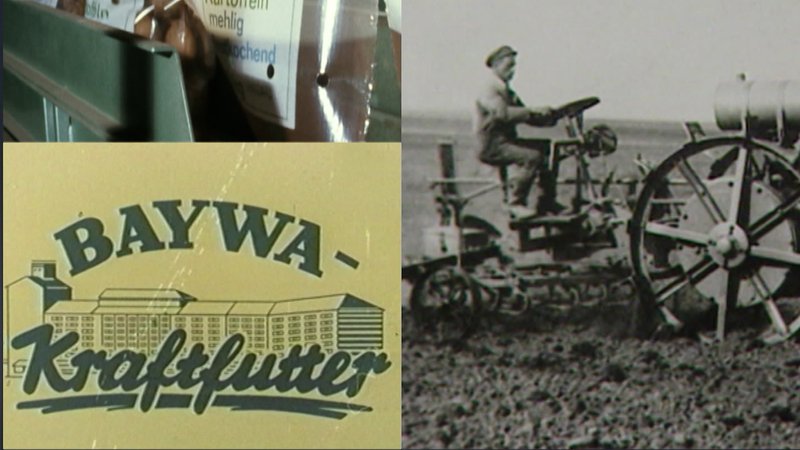 historische BayWa-Werbungen | Bild: Bayerischer Rundfunk 2024 historische BayWa-Werbungen