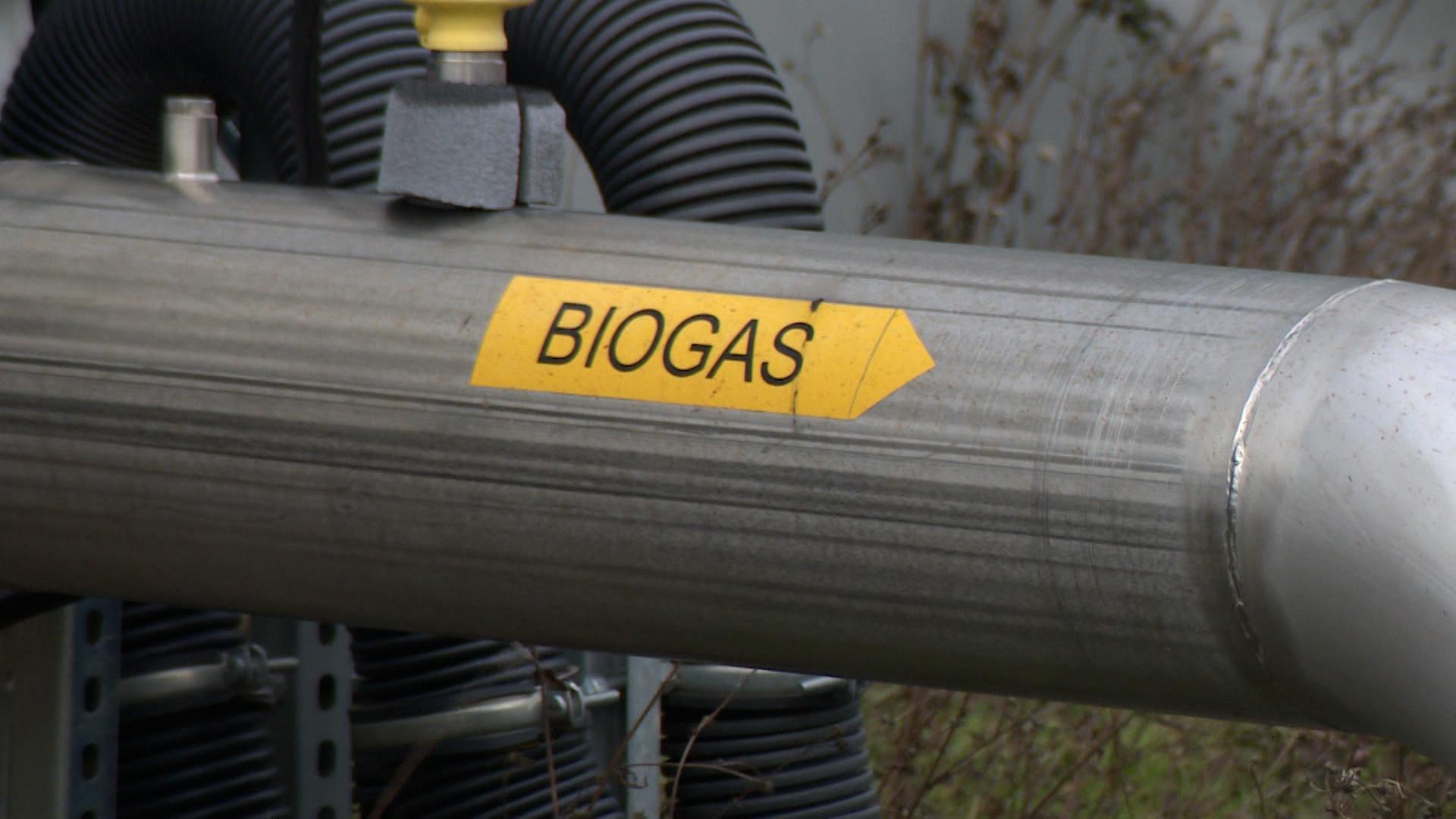 Eine Rohr-Leitung mit der Aufschrift "Biogas".