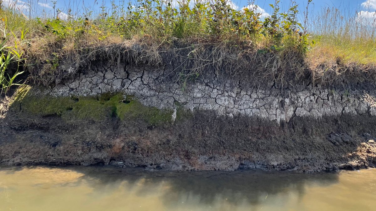 Hitze in Bayern - Wird das Wasser knapp?
