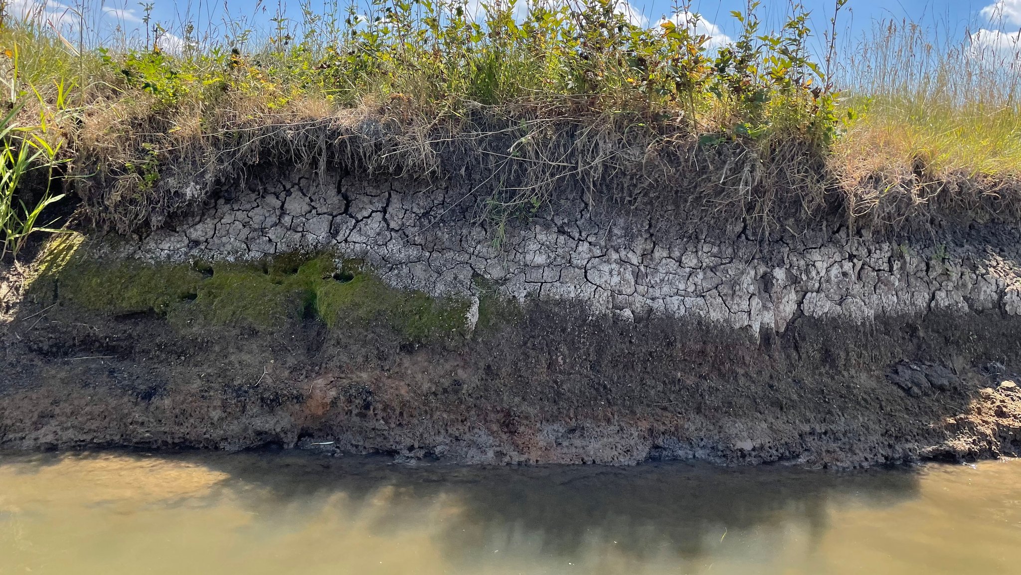 Ausgetrocknetes Ufer der Altmühl bei Ehlheim im Lkr. Weißenburg-Gunzenhausen. Der Wasserstand ist besorgniserregend tief, etwa einen halben Meter tiefer als sonst, so niedrig wie zuletzt vor 70 Jahren. | Bild: BR/Ulrike Lefherz Ausgetrocknetes Ufer der Altmühl bei Ehlheim im Lkr. Weißenburg-Gunzenhausen. Der Wasserstand ist besorgniserregend tief, etwa einen halben Meter tiefer als sonst, so niedrig wie zuletzt vor 70 Jahren.
