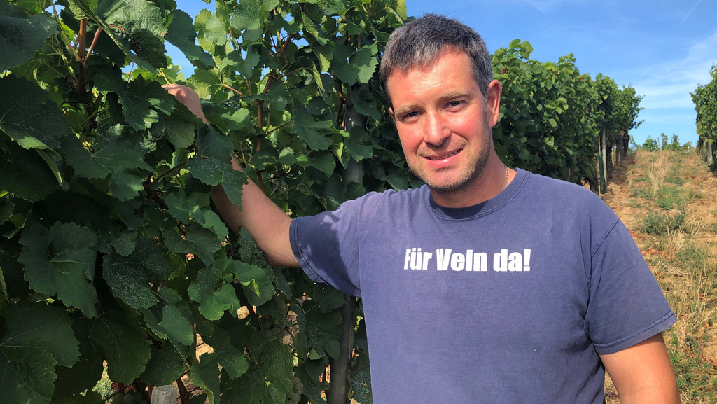 Daniel Sauer vom Weingut Rainer Sauer in Escherndorf freut sich auf den kommenden Jahrgang.