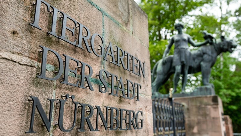 Eingang Tiergarten Nuernberg | Bild: picture alliance / Eibner-Pressefoto | Thomas Hahn /Eibner-Pressefoto Eingang Tiergarten Nuernberg