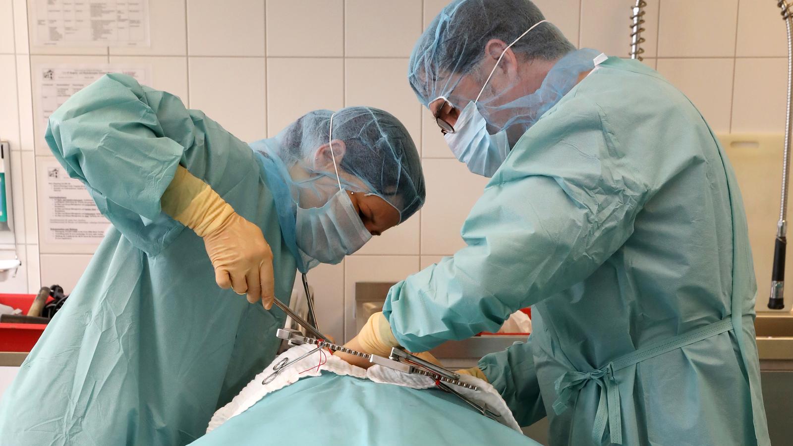 Organspende Bundestag Stimmt Uber Transplantationsgesetz Ab Br24