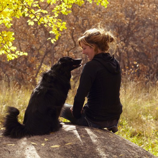 Get Freundschaft tiere HD