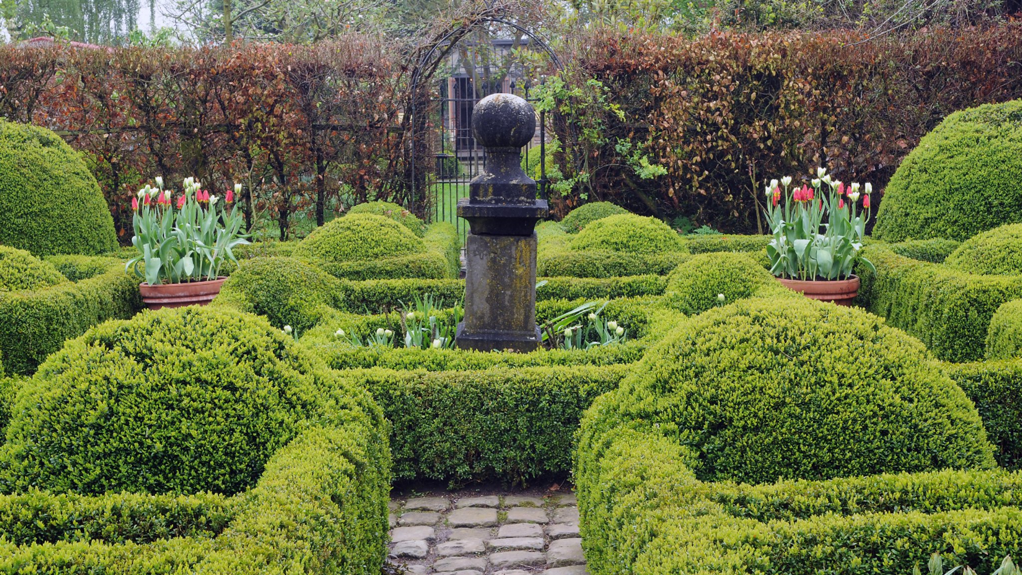 Garten mit Buchbäumen