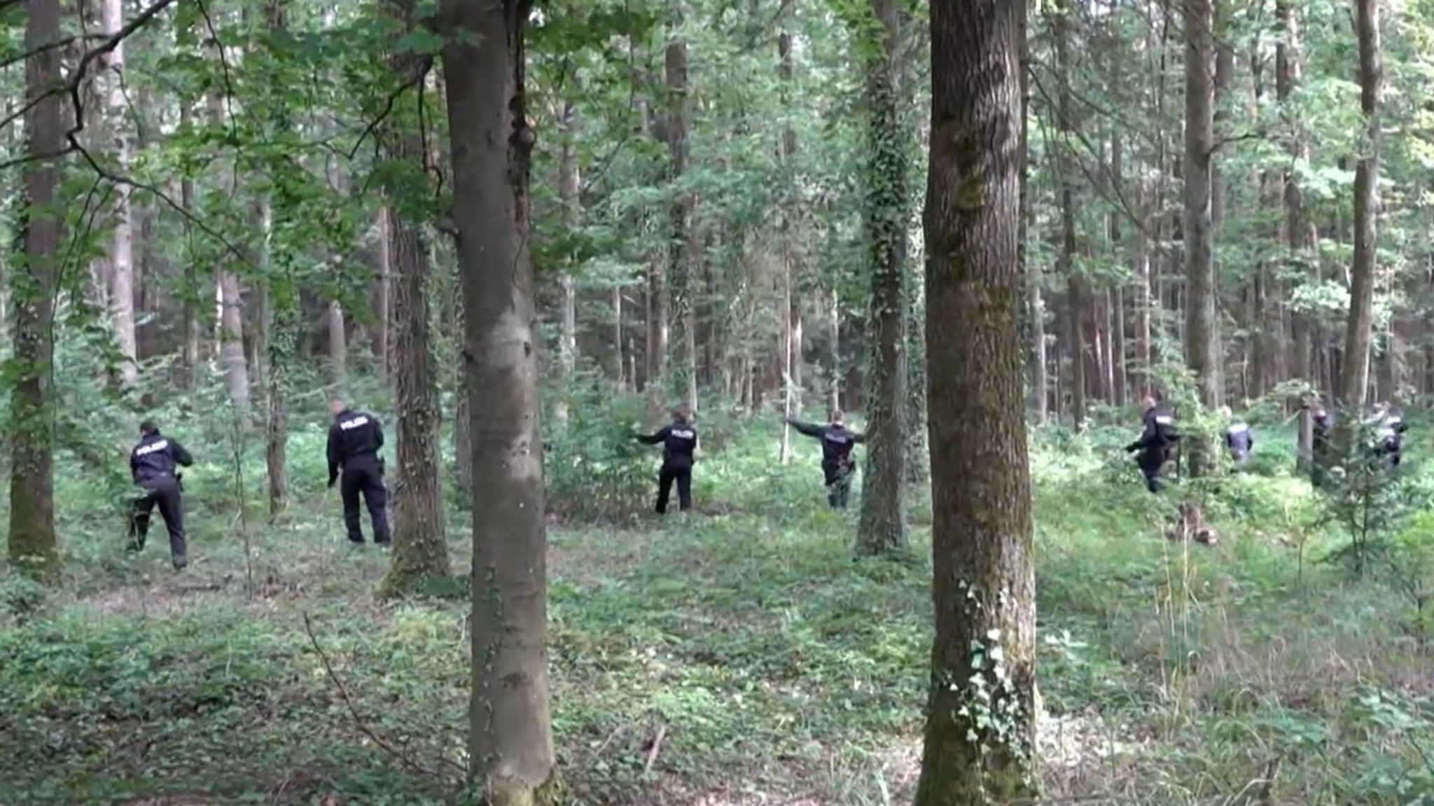 Polizeibeamte durchsuchen einen Wald in Oberfranken