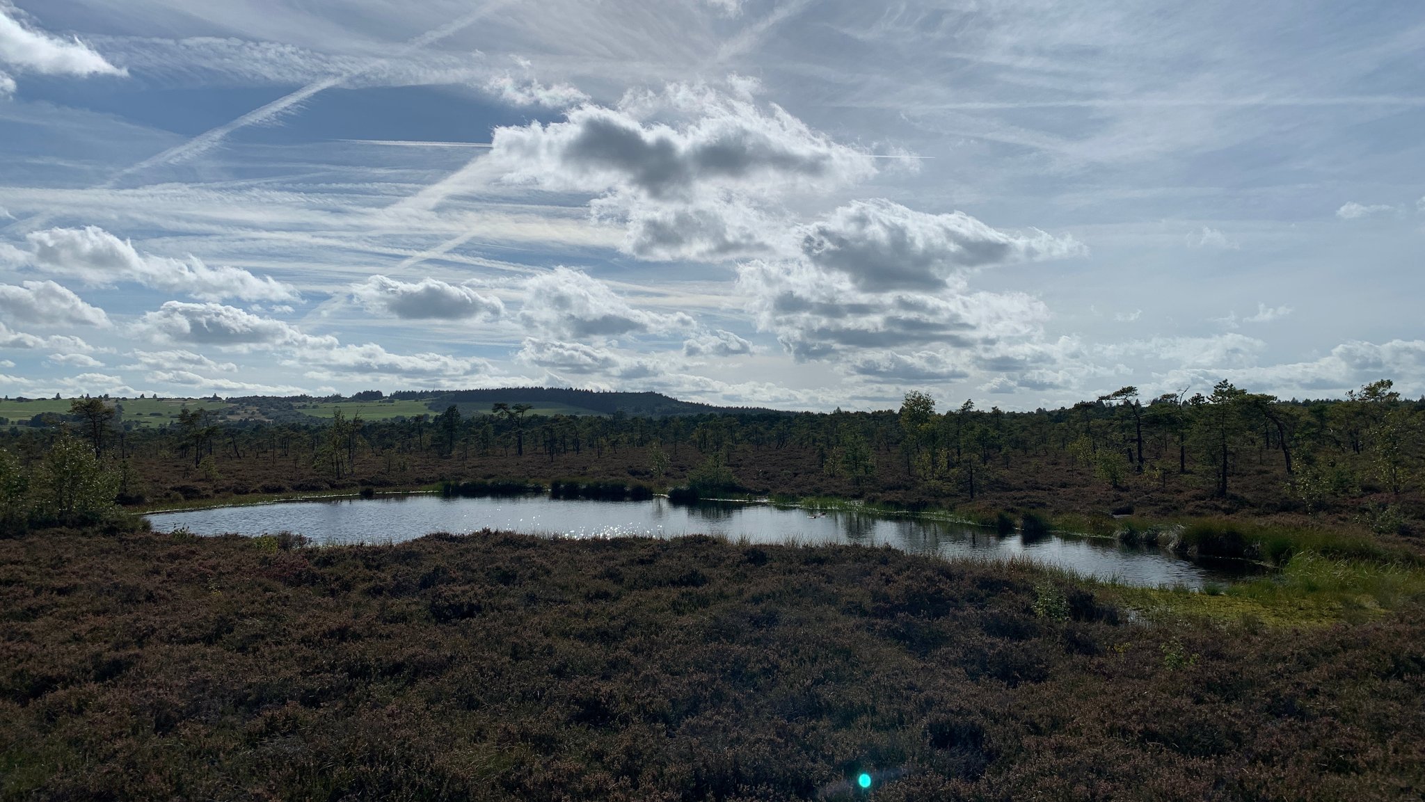 Das Schwarze Moor in der Rhön