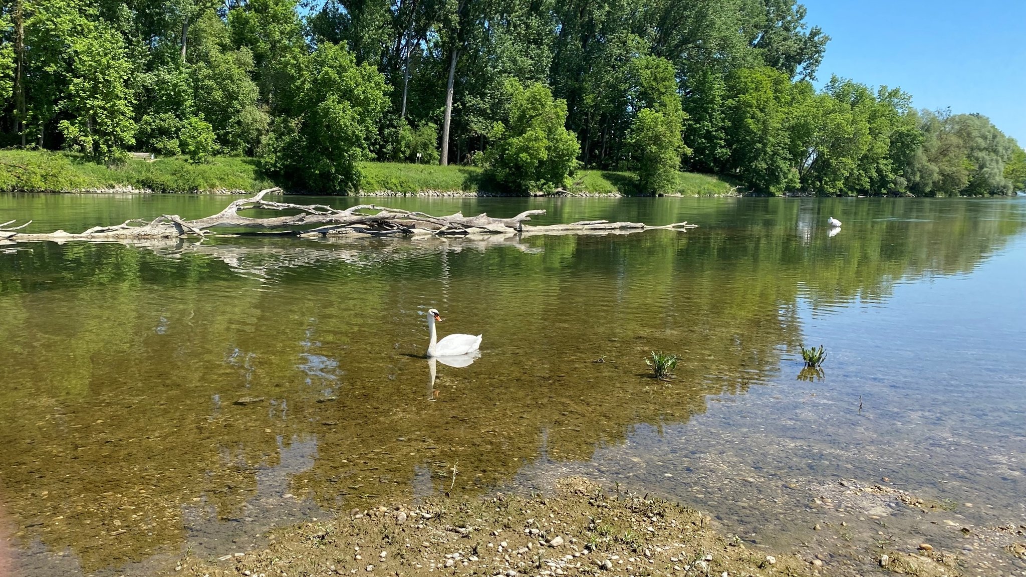 Die Isar bei Landau