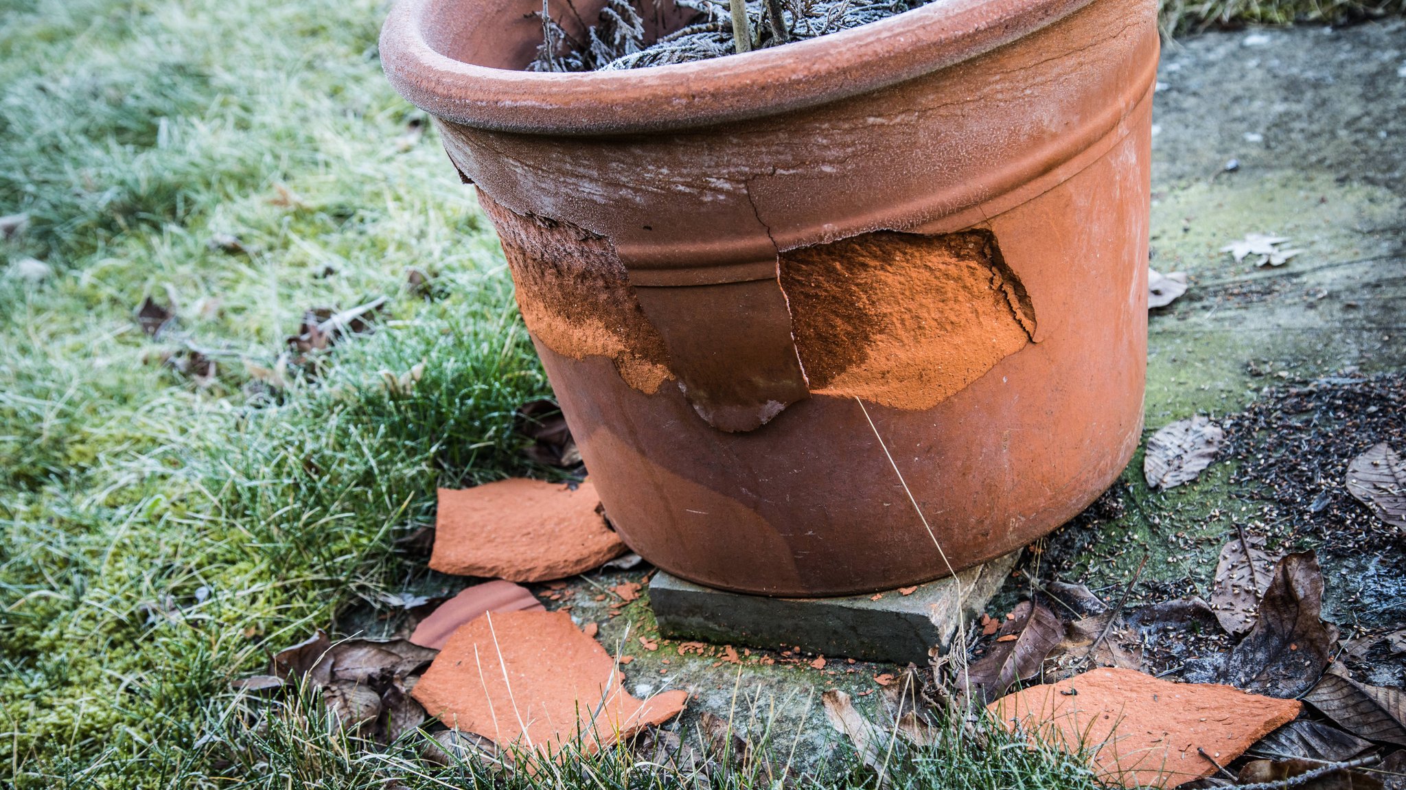 Ein Tontopf im Freien hat Absplitterungen durch den Frost