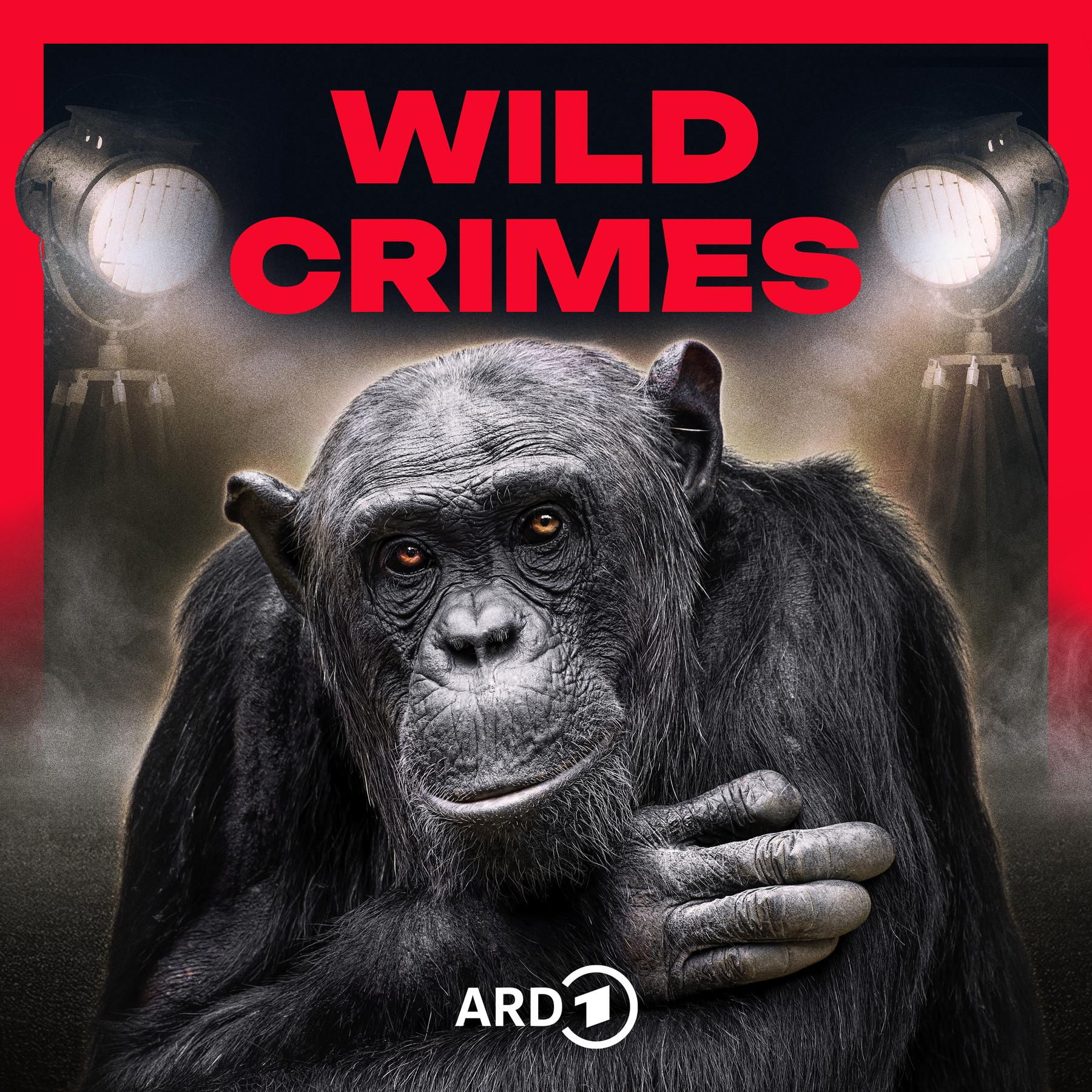 Wild Crimes
