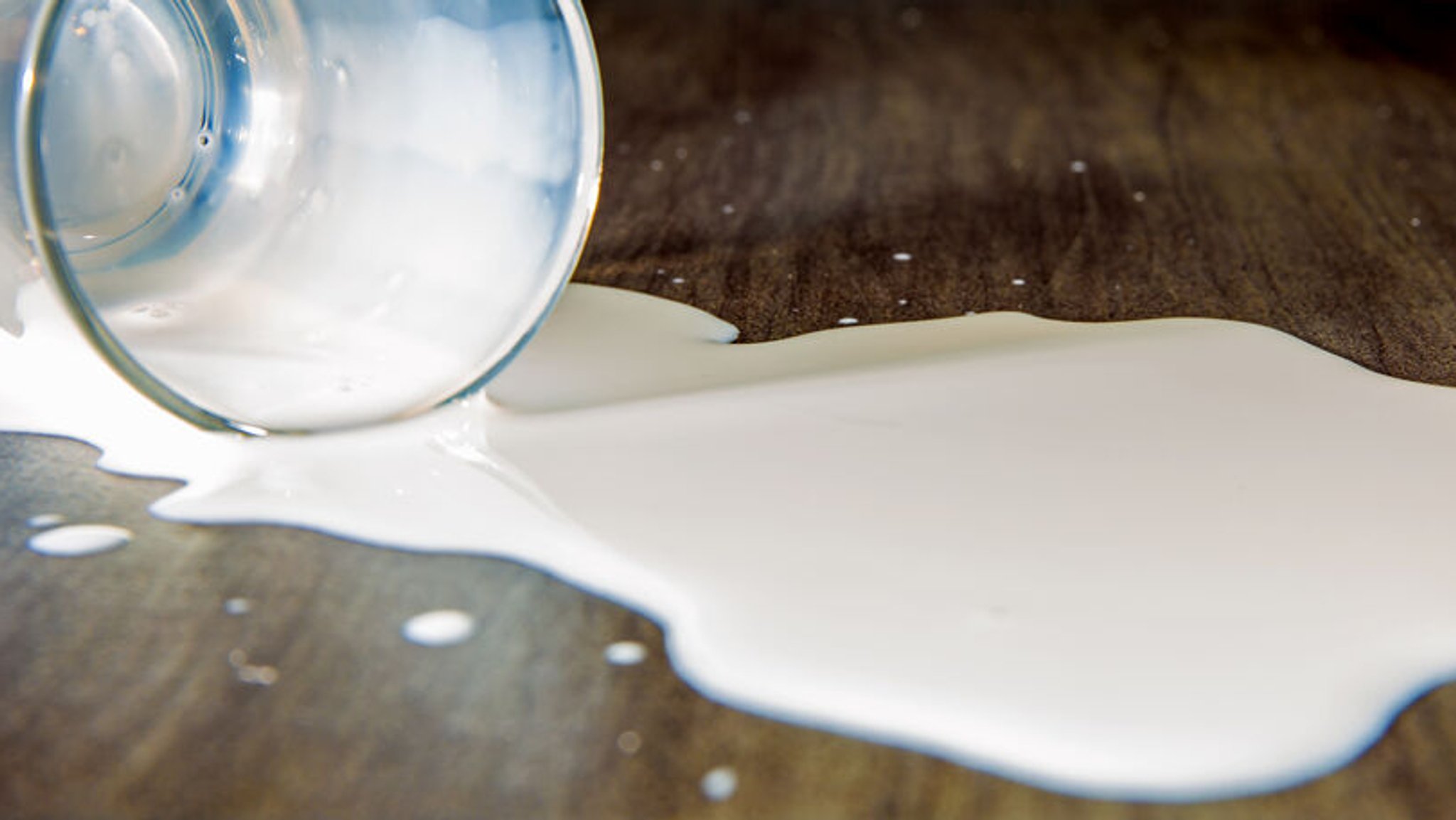 (Symbolbild) Ein Glas mit verschütteter Milch liegt auf einem Tisch. | Bild: stock.adobe.com/Rainer Fuhrmann (Symbolbild) Ein Glas mit verschütteter Milch liegt auf einem Tisch.