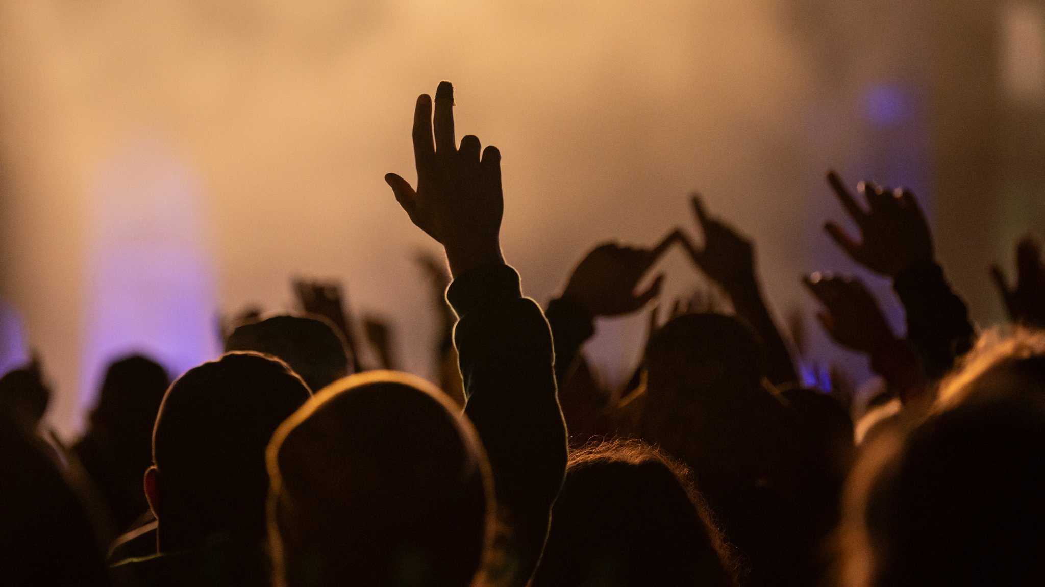 (Symbolbild) Das Publikum hebt die Hände bei einem Konzert