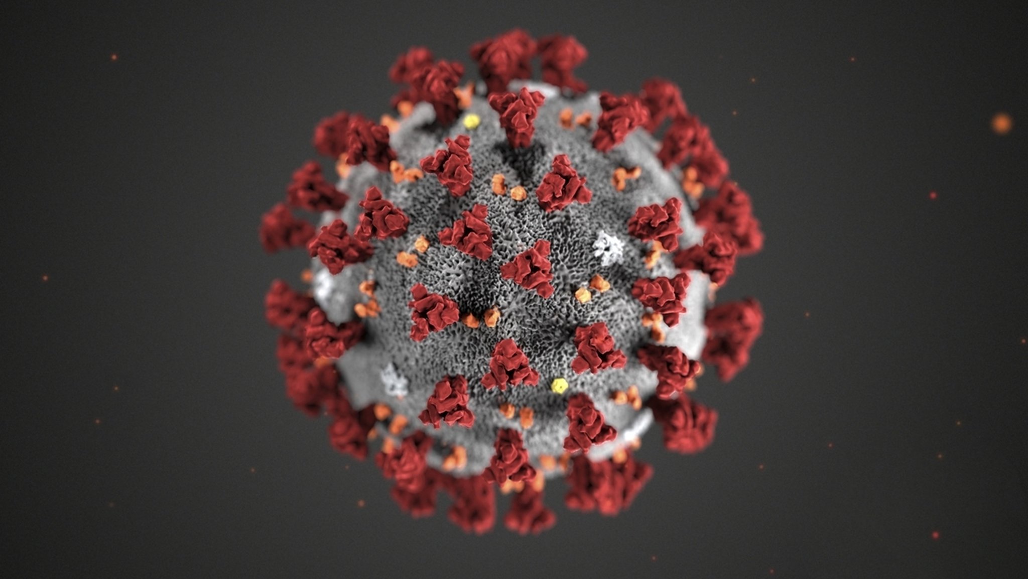 Coronavirus Illustration