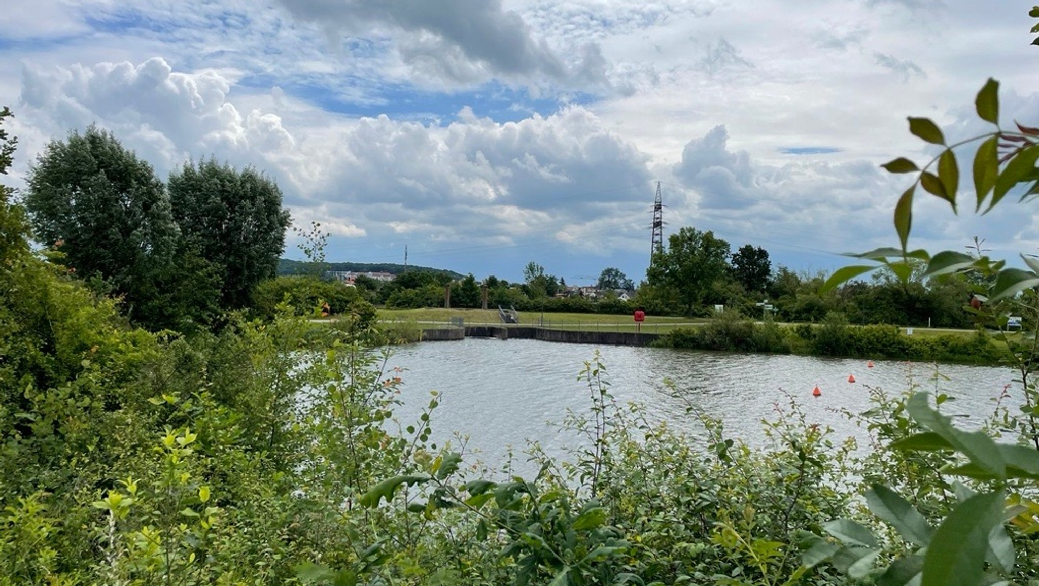 Ausläufer des Altmühlsees umgeben von Bäumen und Büschen.