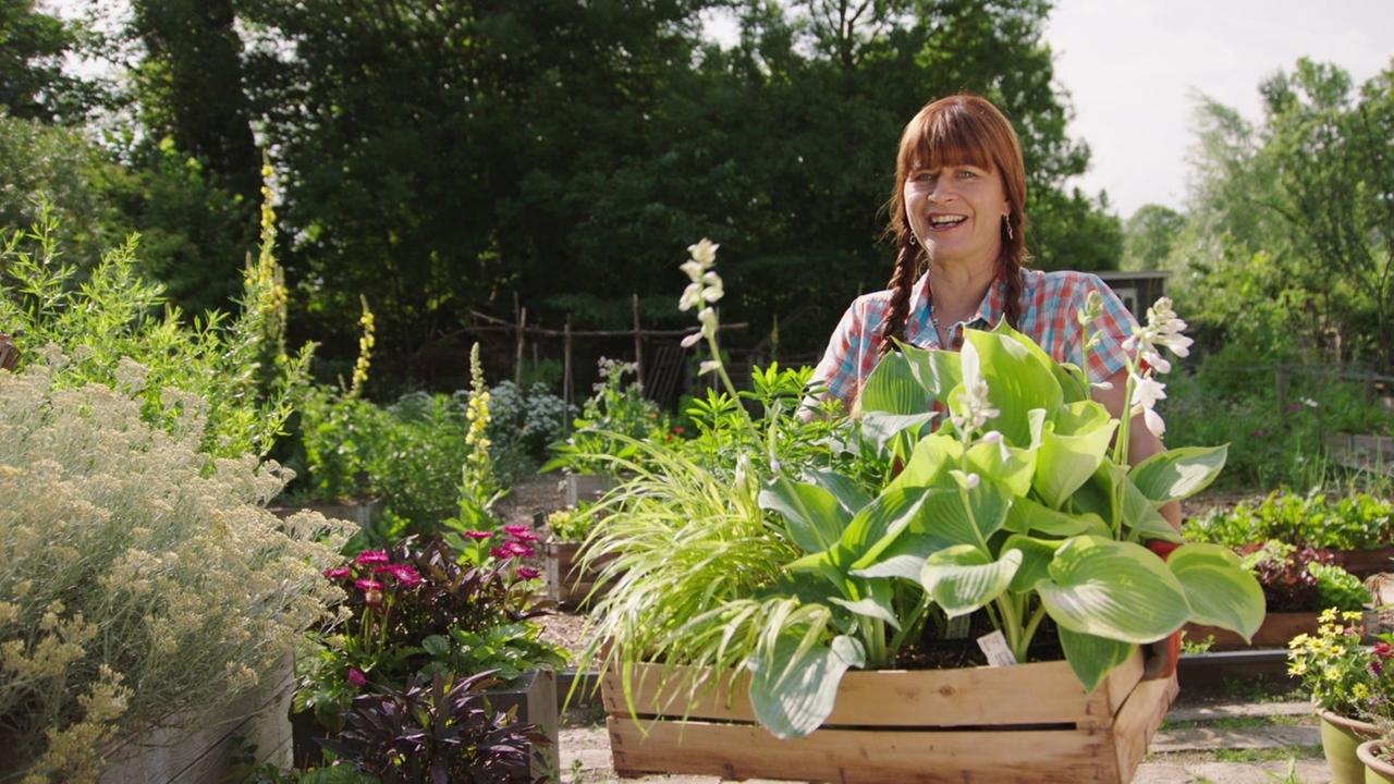 Schattengarten im Querbeet-Garten anlegen mit Sabrina Nitsche und Tobias Bode 