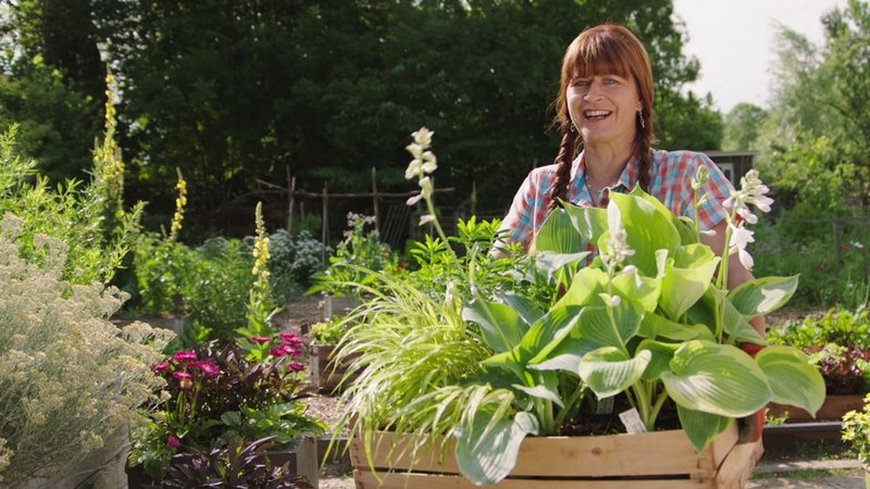 Schattengarten im Querbeet-Garten anlegen mit Sabrina Nitsche und Tobias Bode | Bild: BR / Jürgen Katzur Schattengarten im Querbeet-Garten anlegen mit Sabrina Nitsche und Tobias Bode