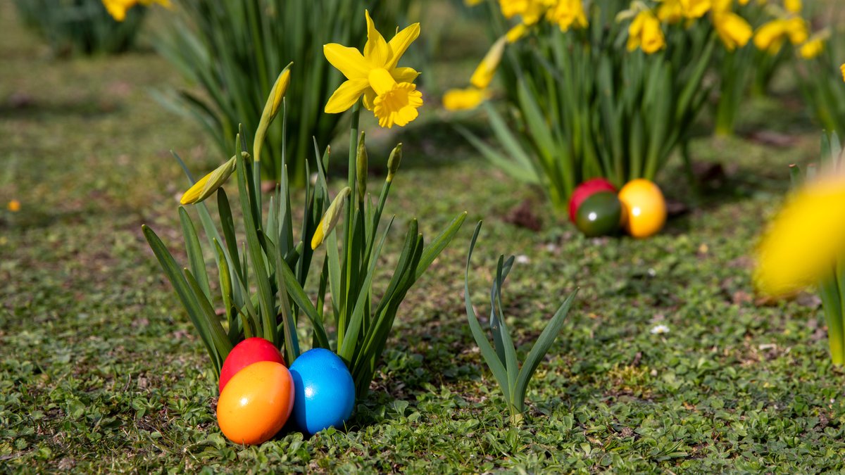 Ausblick auf das Oster-Wetter: Geht das Frieren weiter? 