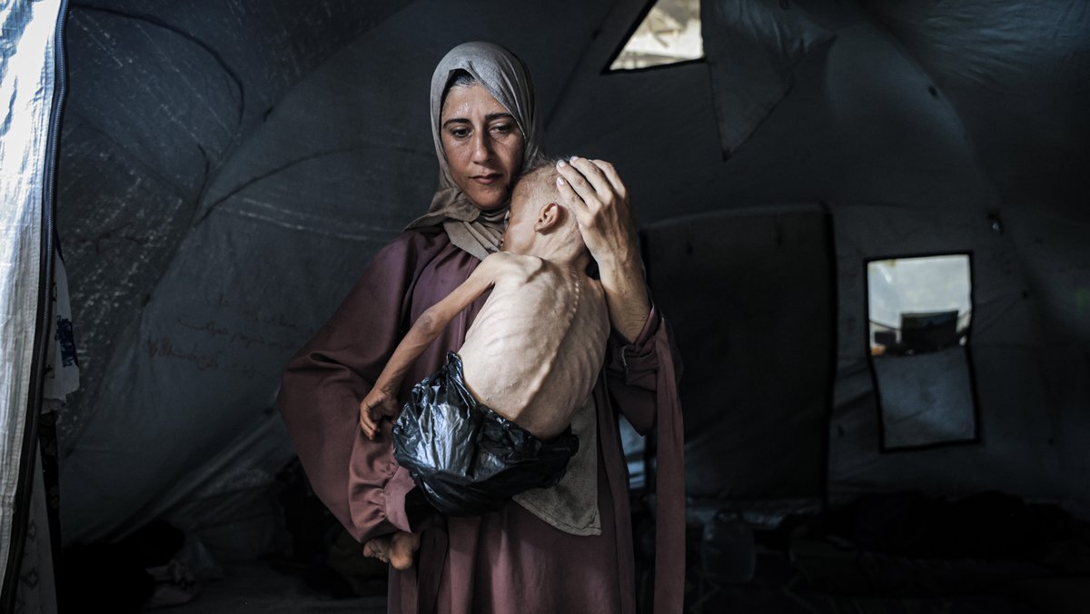 #Faktenfuchs: Hunger in Gaza – Deutungskampf um Bilder