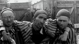 Das erste KZ im nationalsozialistischen Deutschland entstand damals in Dachau - und die Nazis verschleppten über 200.000 Menschen dorthin.  | Bild:BR