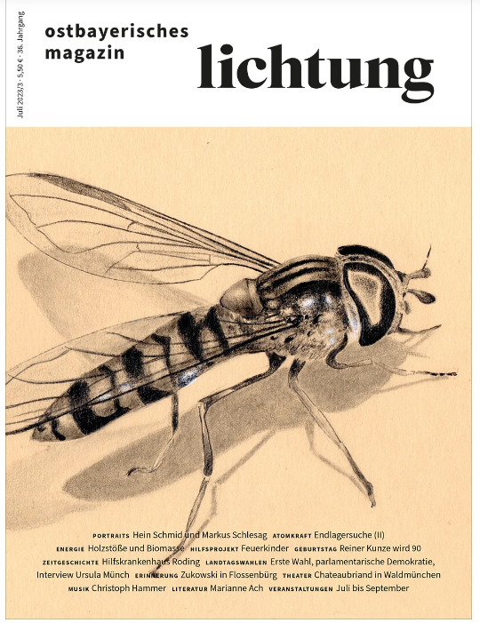 Ein Cover der regionalen Kulturzeitschrift "Lichtung".