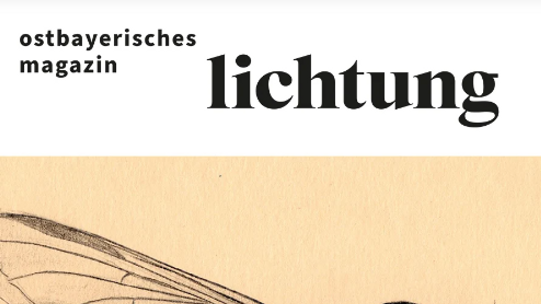 40.000 Euro Nachzahlung: Kleinverlag "Lichtung" droht das Aus