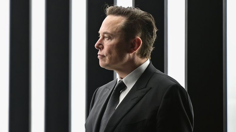 Tesla-Chef und Milliardär Elon Musk | Bild:dpa-Bildfunk/Patrick Pleul