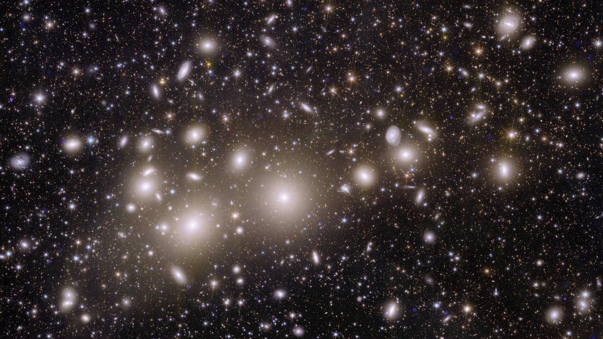 Euclid-Aufnahme der Galaxien vor dunklem Hintergrund.