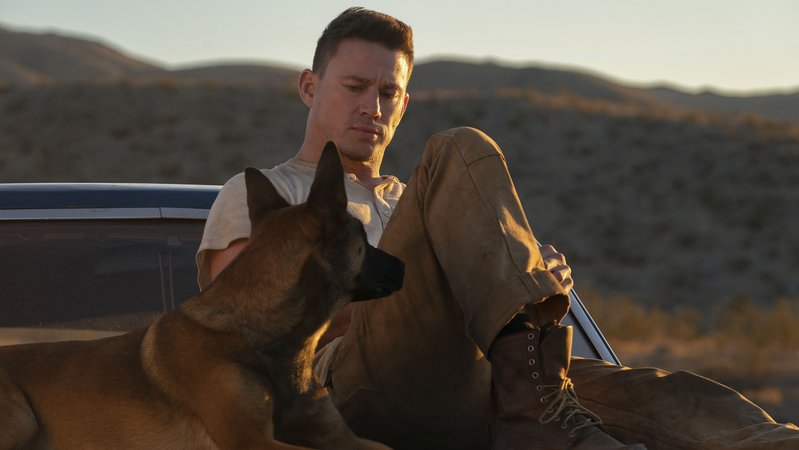 Channing Tatum und sein Vierbeiner in "Dog - Das Glück hat vier Pfoten" (Filmszene).