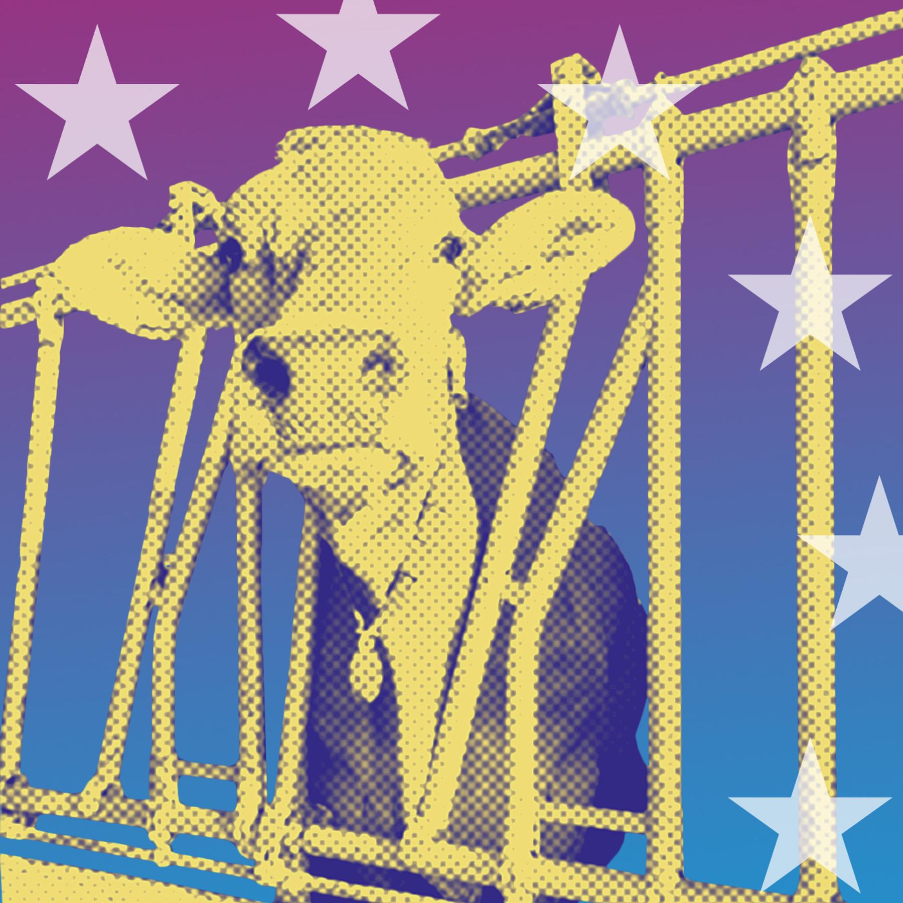 27 – Der Podcast zur Europawahl