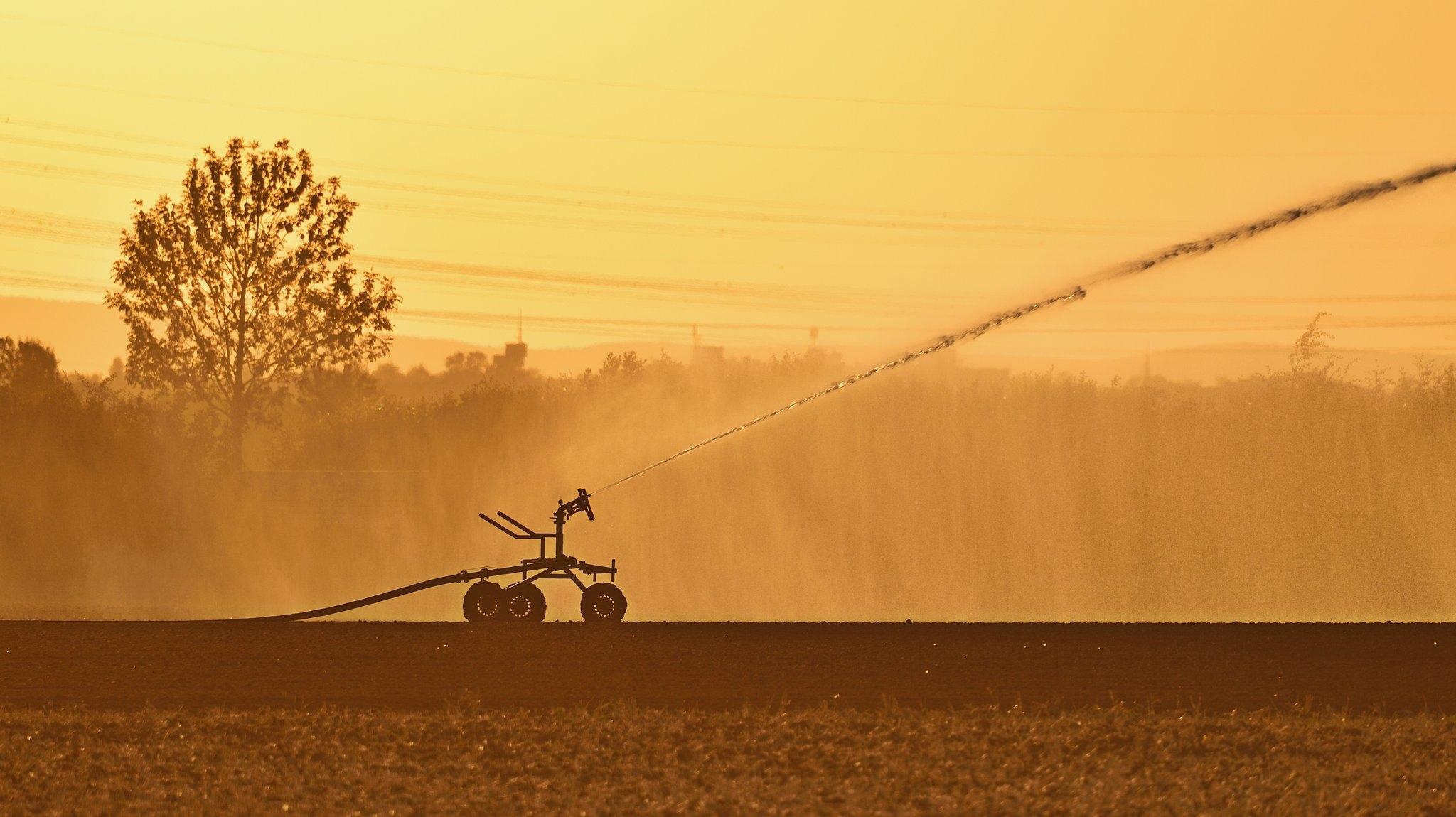 Bildrechte: Daniel Kubierski